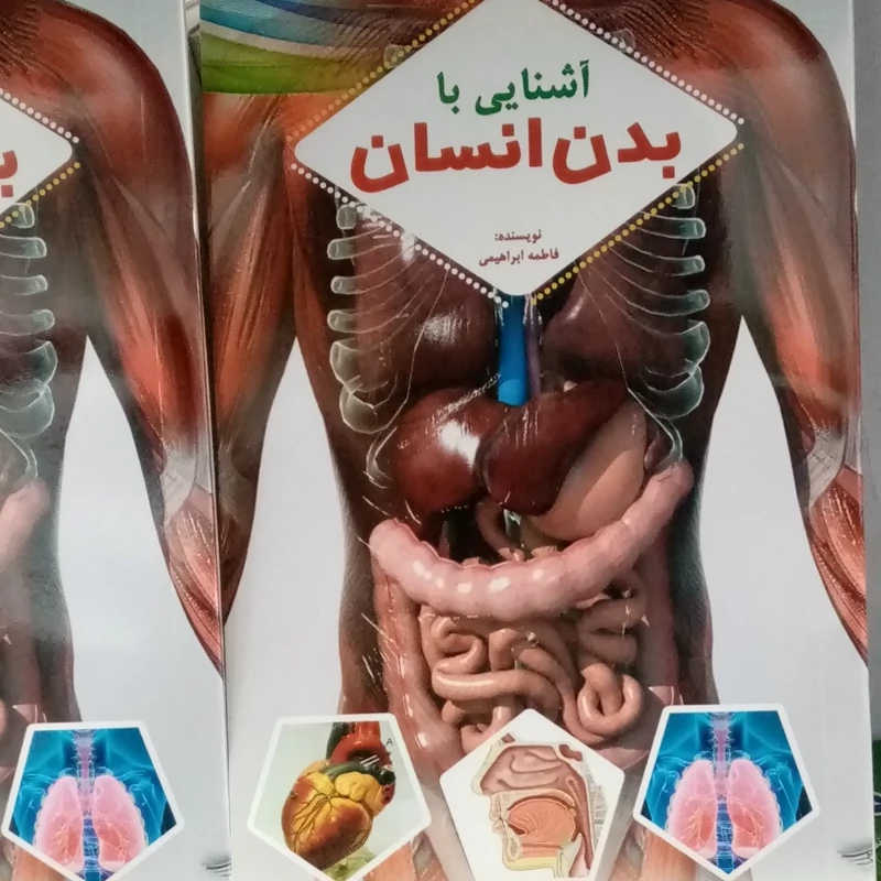 آشنایی با بدن انسان آناتومی