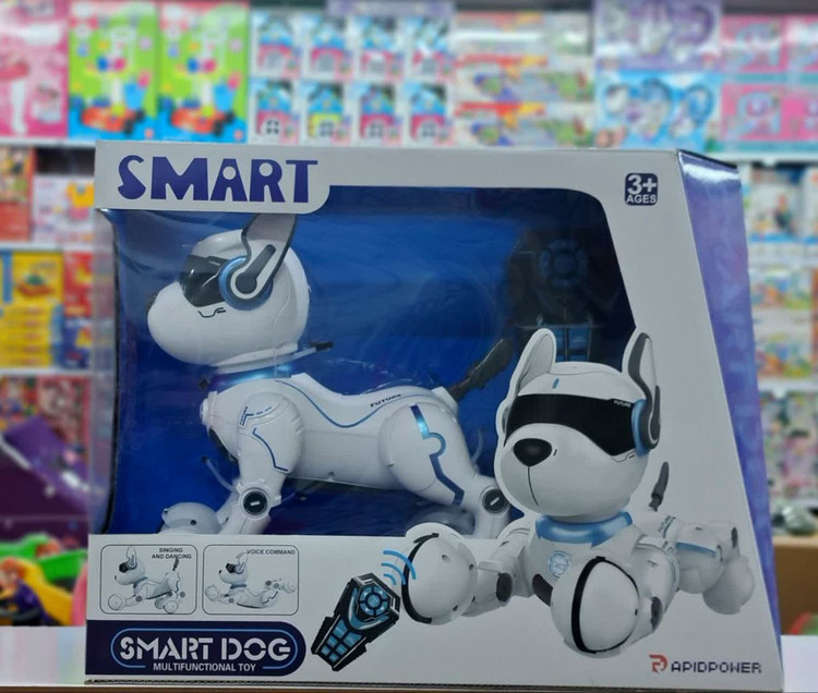 ریموت کنترل سگ هوشمند مدل زومر 001