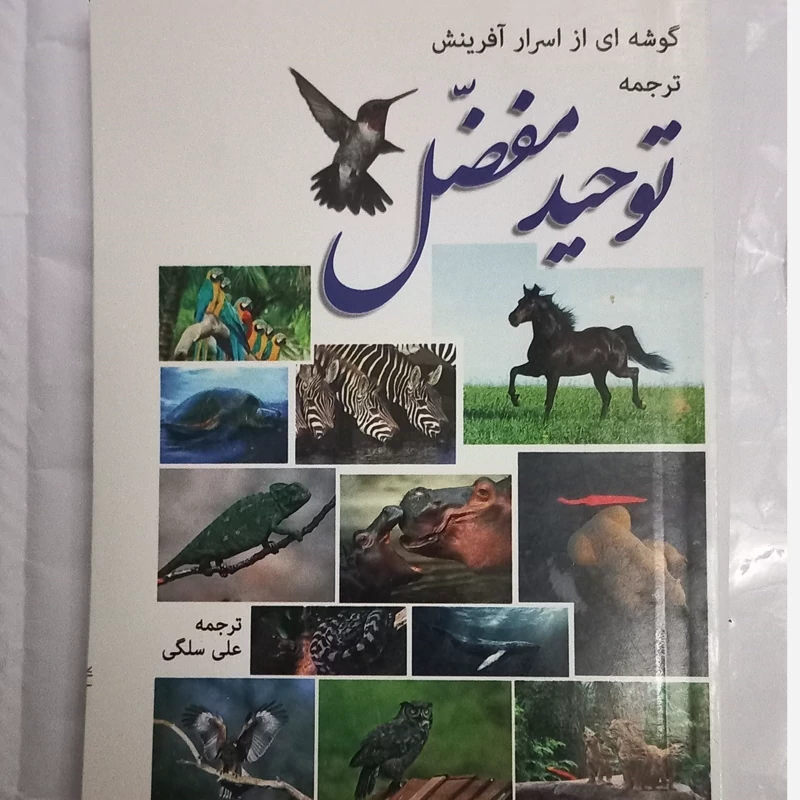 توحید مفضل ترجمه علامه مجلسی