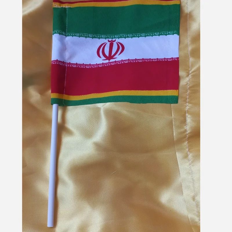 پرچم دستی ایران 10 عدد 20 در 30